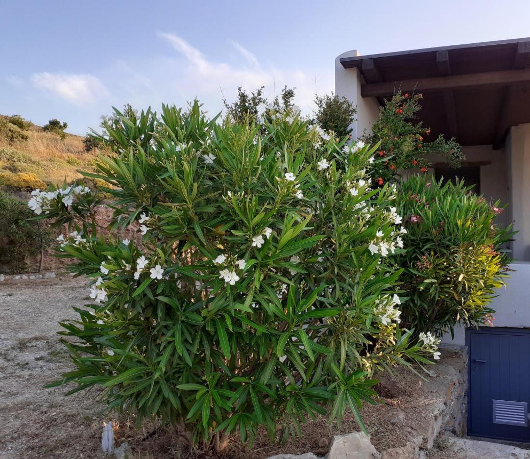 Katoikia Spathi Spathi  المظهر الخارجي الصورة