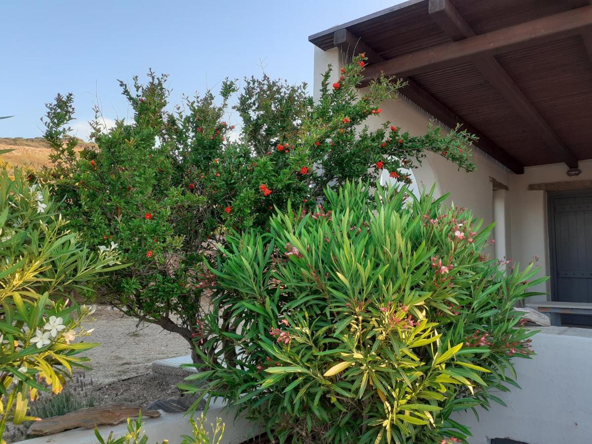 Katoikia Spathi Spathi  المظهر الخارجي الصورة