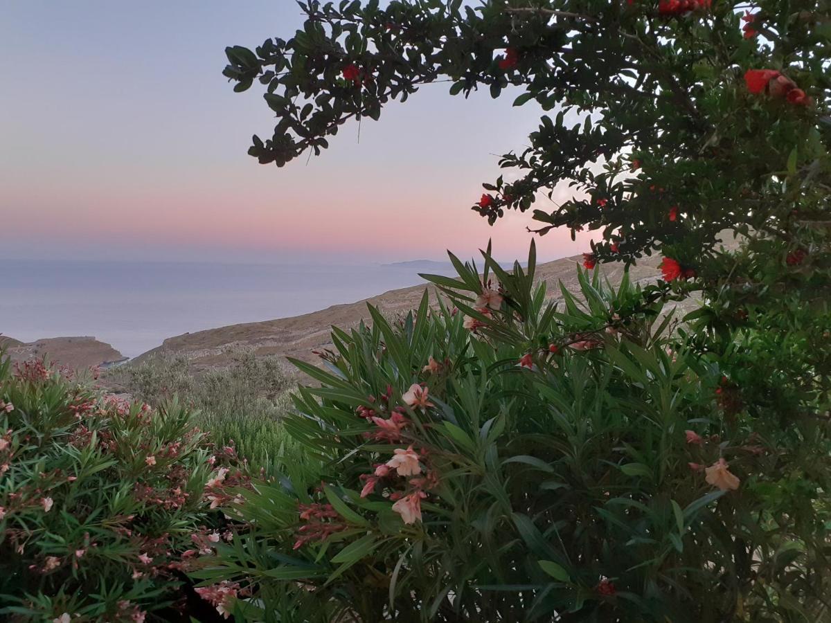Katoikia Spathi Spathi  المظهر الخارجي الصورة